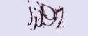����� ��������� ��������