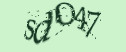 ����� ��������� ��������